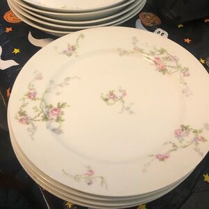 1900s LIMOGES FRANCE PROVIDENCE RHODE ISLAND PLATE over 100 years old